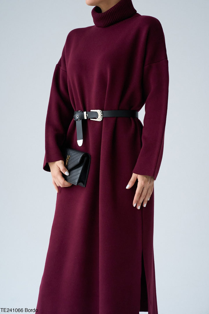 Roll-Neck Relaxed Knit Dress in Bordeaux