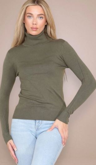 (2P. PACK) Classic Polo Neck Knit Sweater - jqwholesale.com